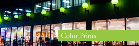 Savannah Scapes Color Print Gallery